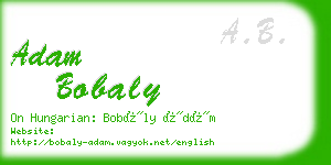 adam bobaly business card